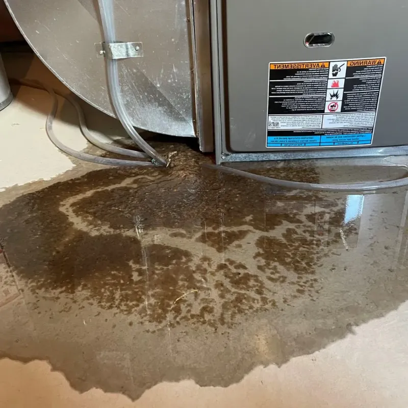 Pipe Burst and Leak Restoration in Berwyn, PA