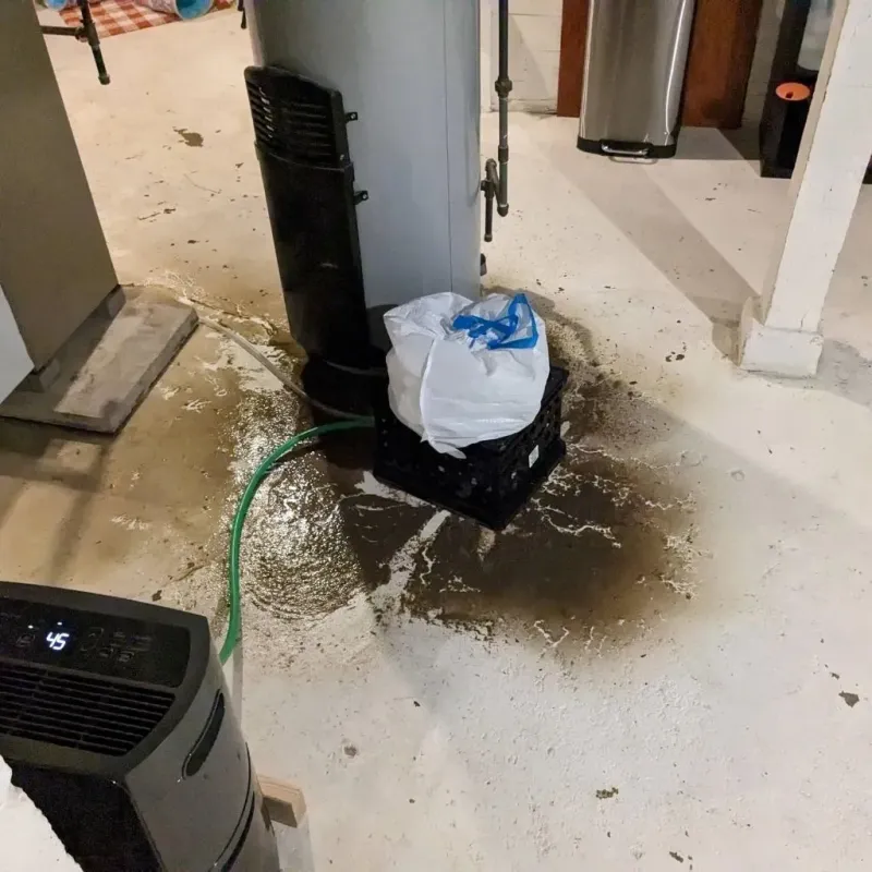 Sewage Backup Cleanup Service in Berwyn, PA